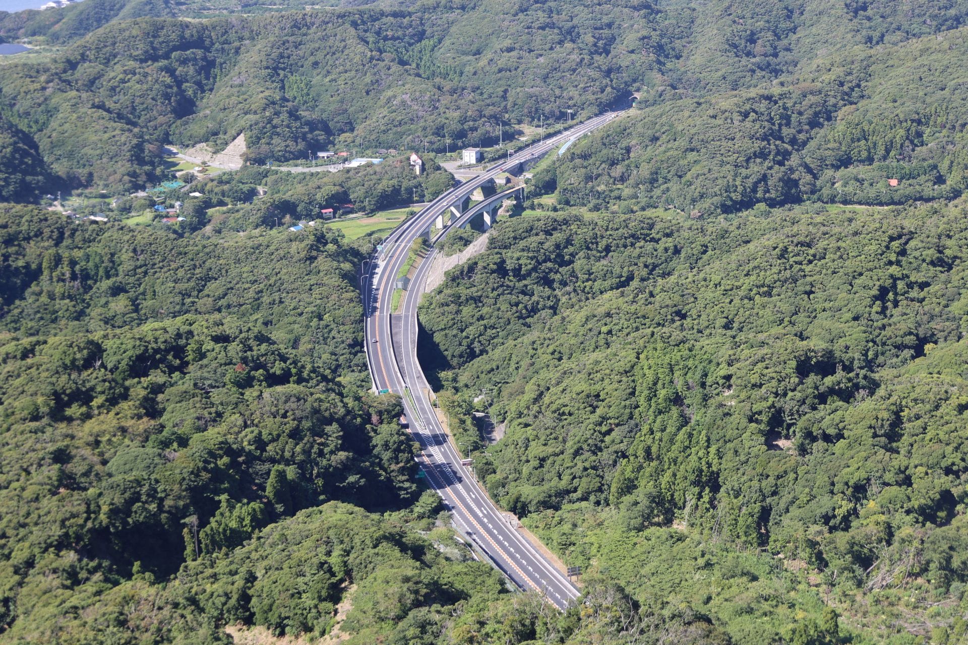 フォルスクラブの上場：新たな未来への一歩